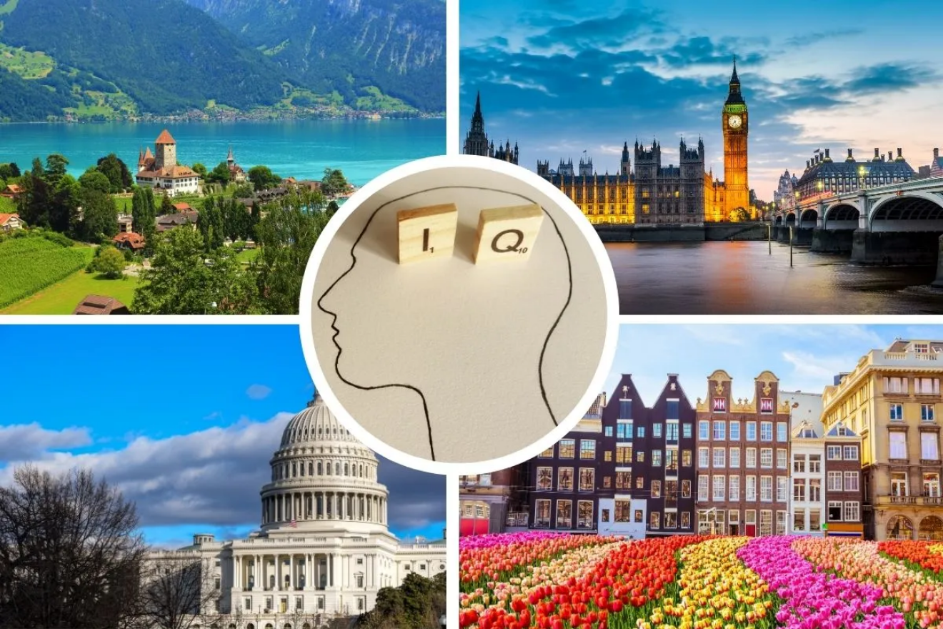 Де живуть найрозумніші люди?