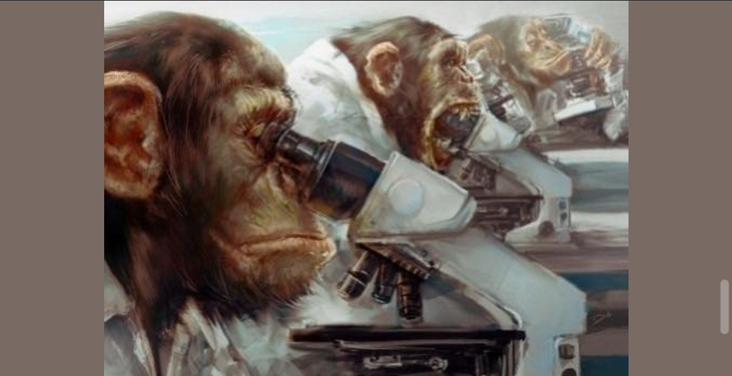 Карло Чіполла про Зеленського і його партнерів