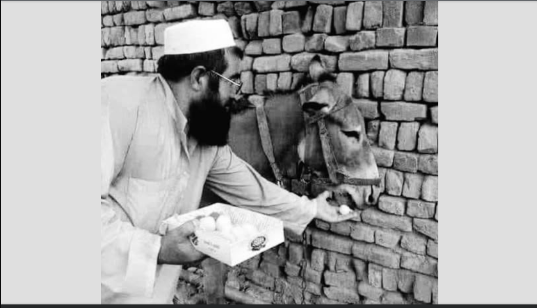 Ціна невігластва