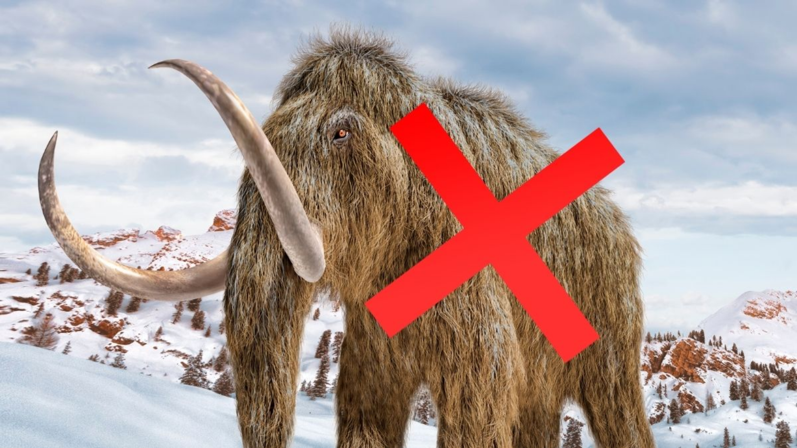 Таємниця Аляски: кістки мамонта виявилися морським гігантом