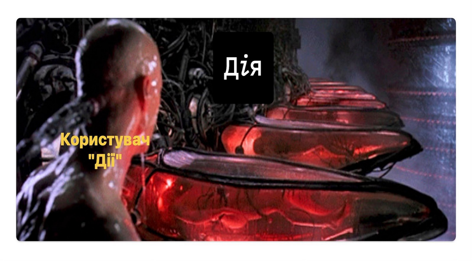 «Дія» як бізнес-проект: націоналізація збитків і приватизація прибутків