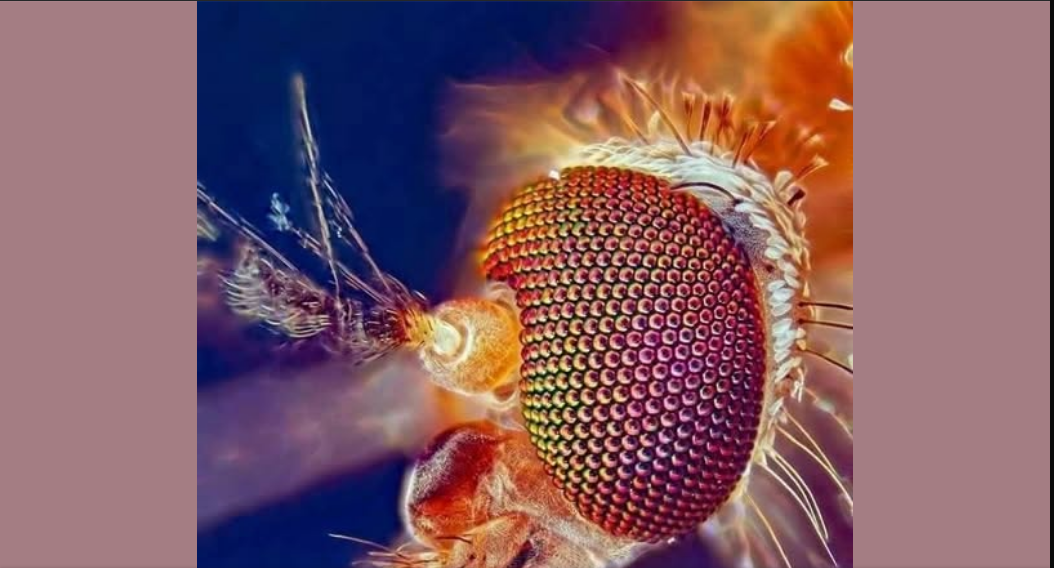 Якась фантастична інженерія