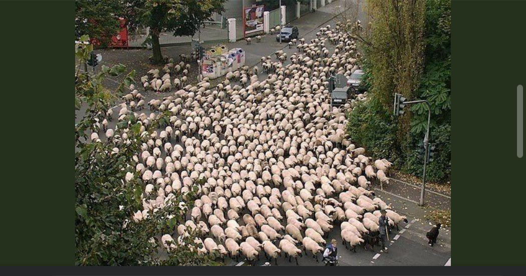 Чому люди вірять брехні, навіть бачачи правду?