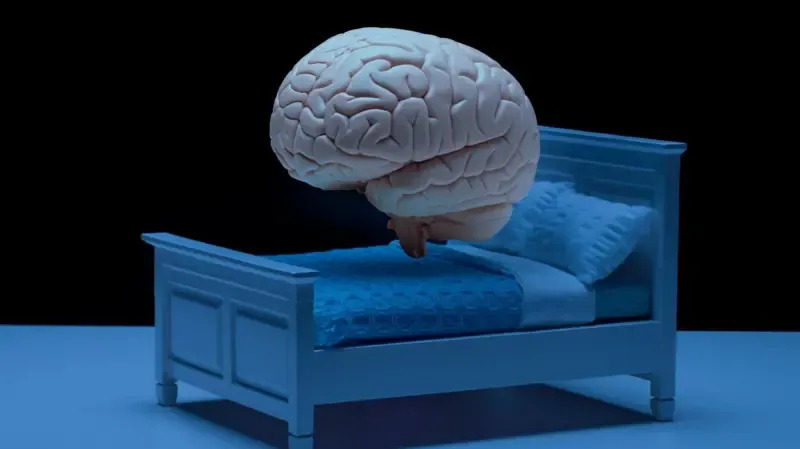 Як інженерія снів може зробити нас «щасливішими» чи продати нам більше пива_3