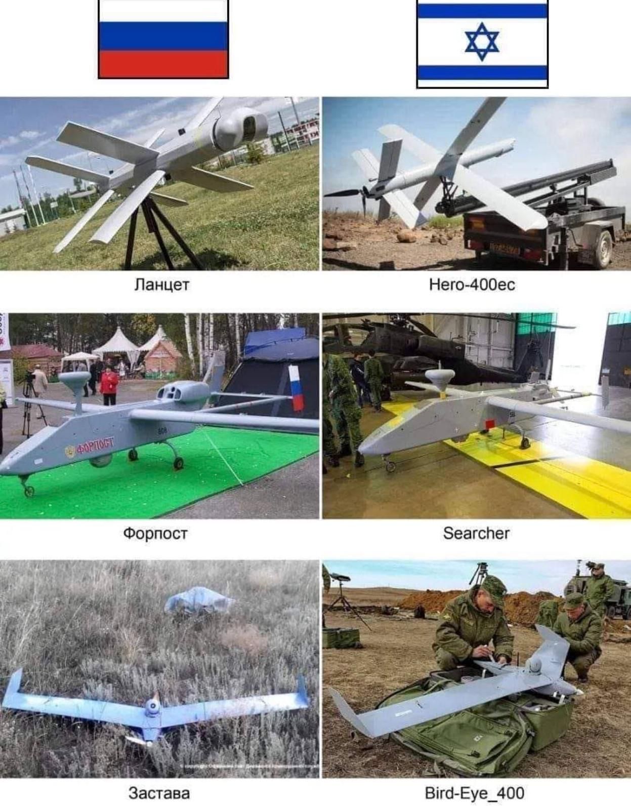 Коли замість послів і послиць осли і ослиці_1