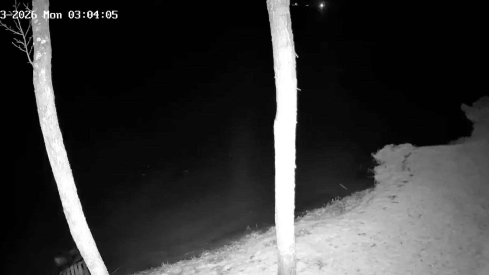 Летів атакувати Приморськ. Дрон, який залетів у Литву, міг бути українським