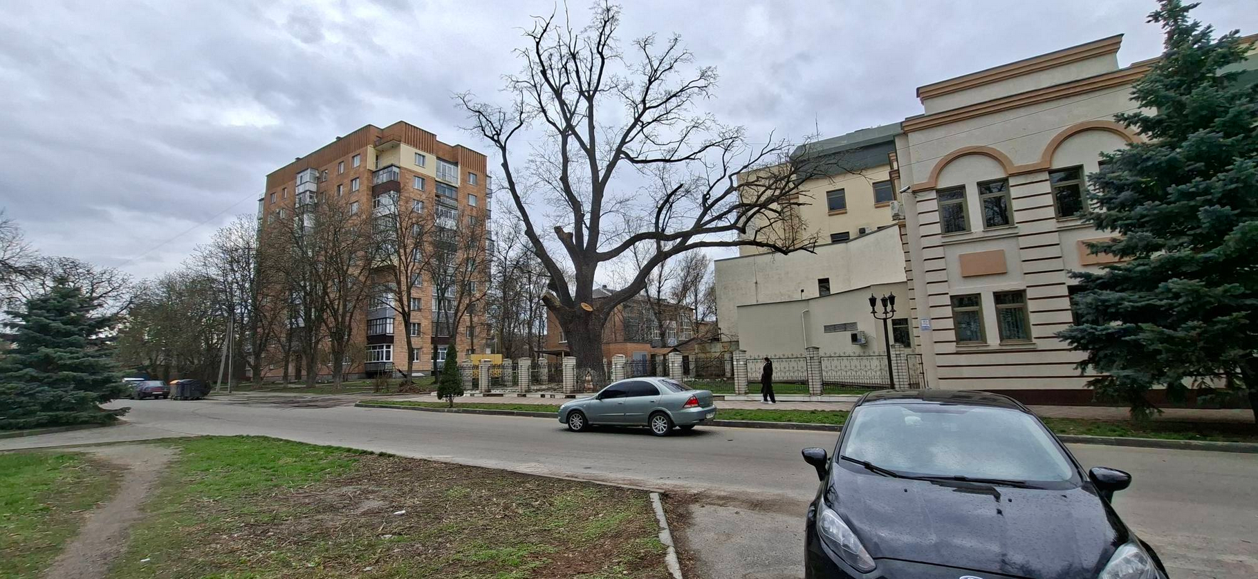 Екоцид у центрі Полтави