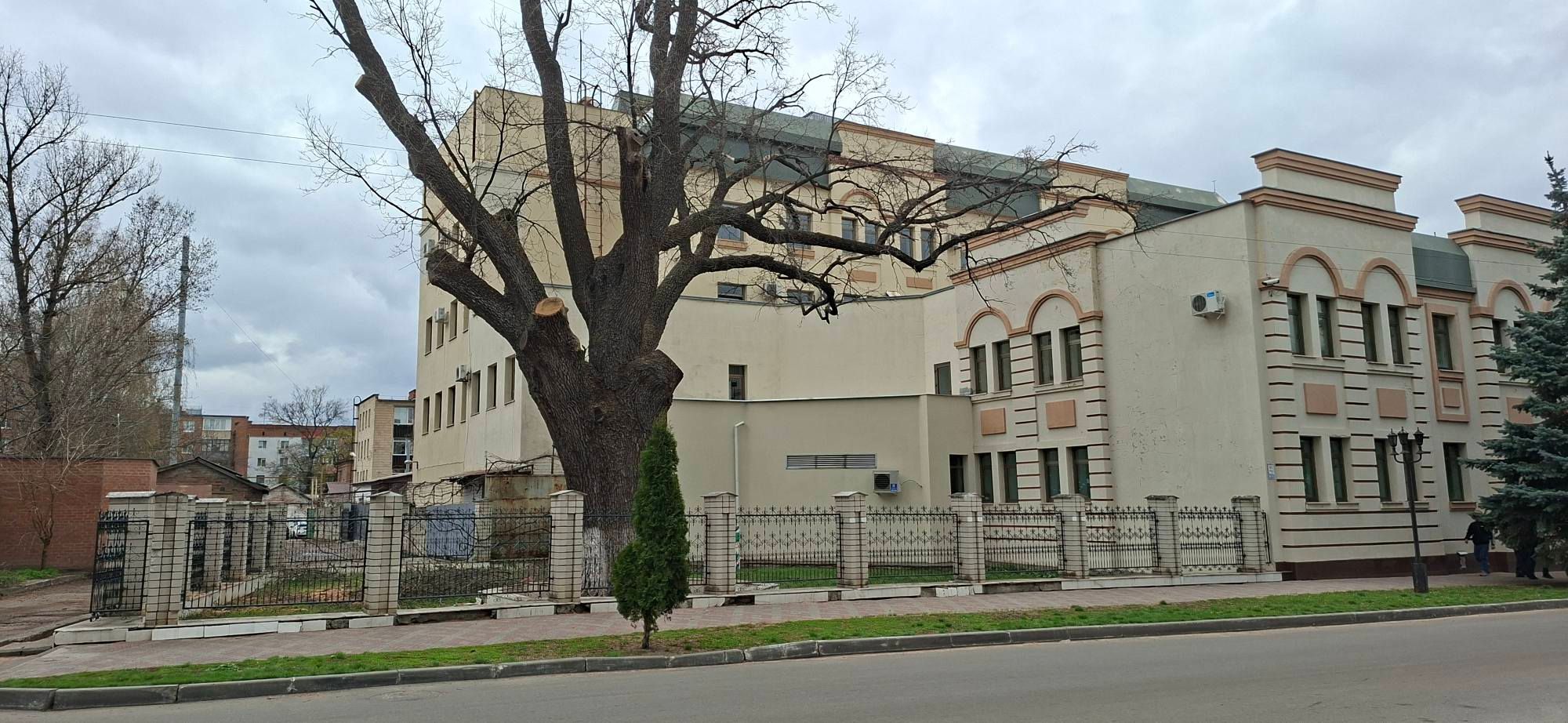 Екоцид у центрі Полтави_4