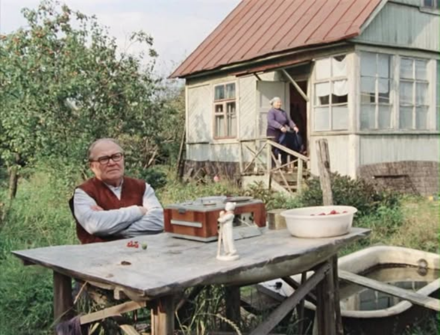 Шість соток як формула виживання: як СРСР рахував голод по метрах