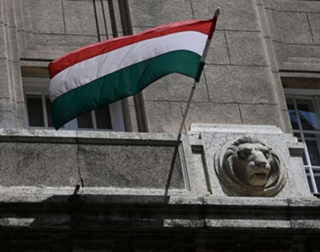 Про що мовчить Зеленський і його поплічники