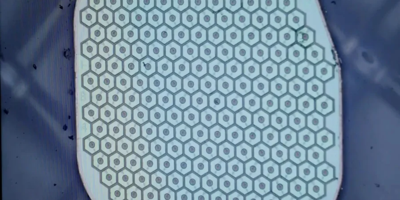 Живі нейрони з електронікою