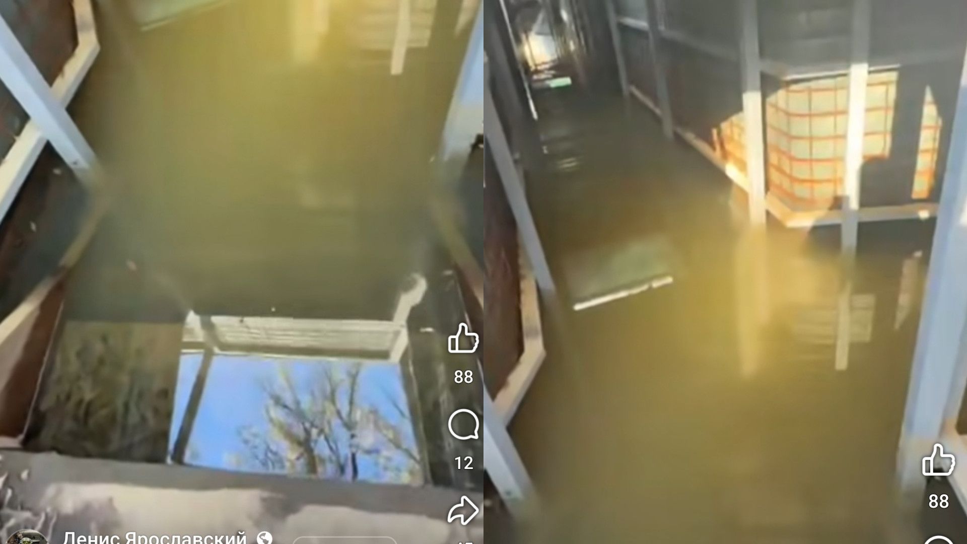 Синєгубий Зеленського знову вкрав фортифікаційні гроші