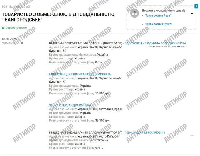 Михайло Рева освоює мільярди на відбудові енергетики через Кирила Тимошенка_1