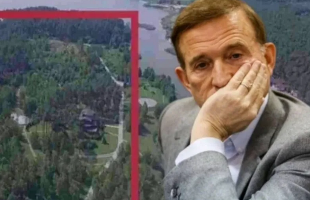 На Київщині державі повернули 10 гектарів лісу, пов’язаних зі структурами Медведчука
