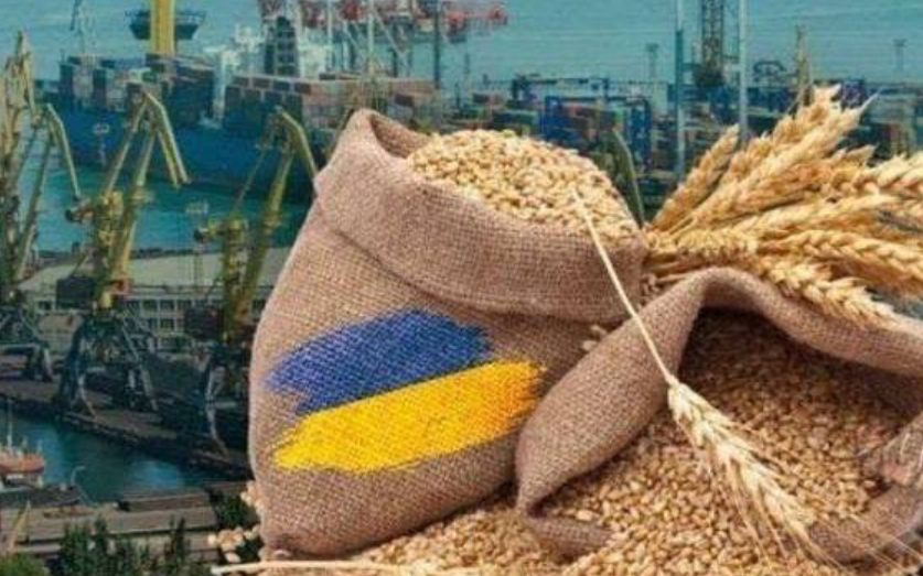 Через схеми з агроекспортом з України вивели 198 мільярдів гривень за півтора року