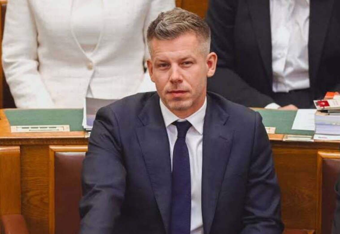 Петер Мадяр заявив, що Угорщина не приєдналася до ініційованої Україною «Карпатської вісімки»
