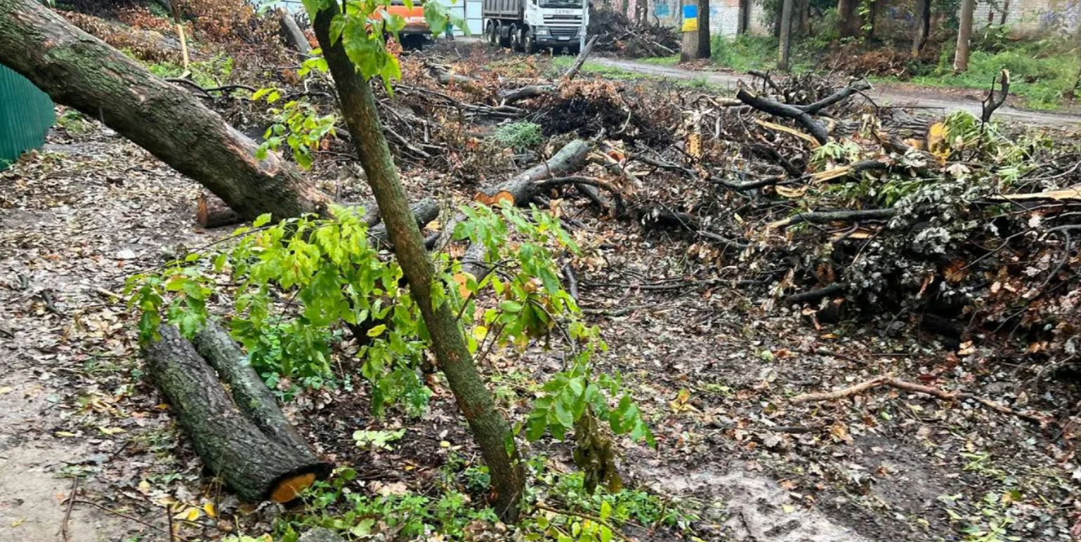 В одній із частин парку на Теремках зрізали всі дерева, там працює техніка і вивозить родючий ґрунт