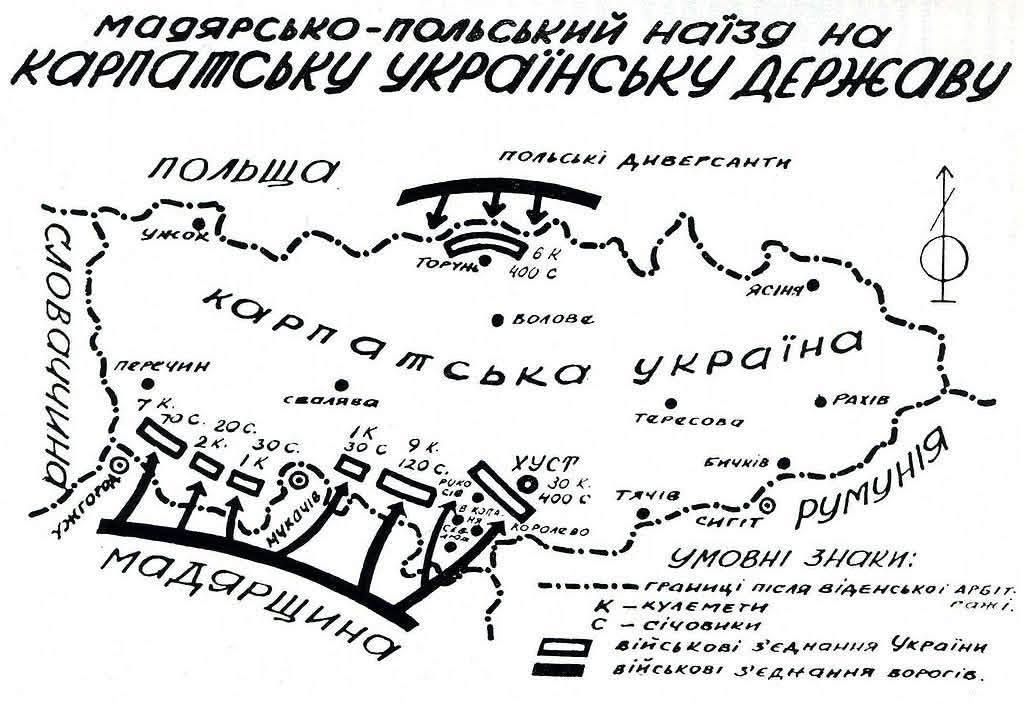 Угорці влаштували етноцид українців — це історичний факт_9