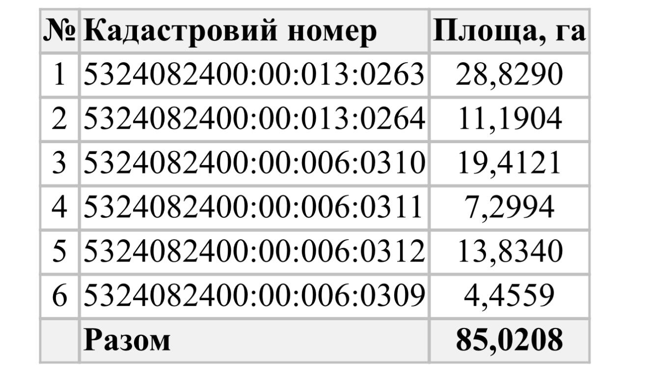 Не падайте духом, поручик Козицький_13