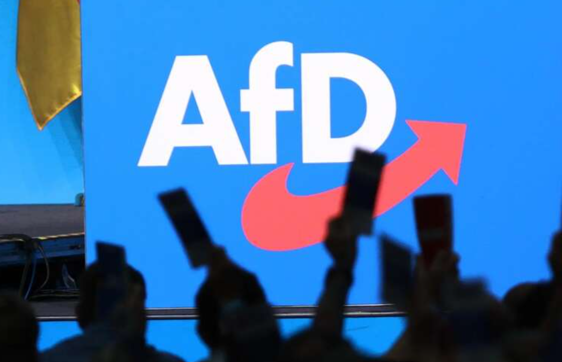 AfD випередила блок Мерца на 12 процентних пунктів