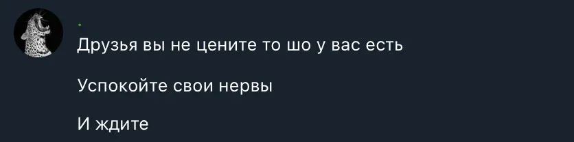 Фото: Скриншот з Telegram-чату «Банда ЗеляПлатит»